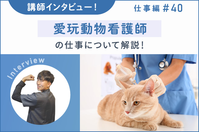 講師インタビュー！愛玩動物看護師の仕事について解説！