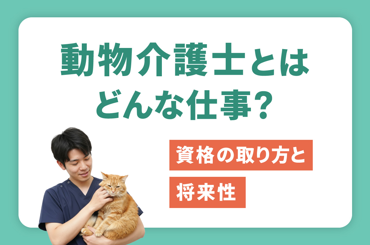 動物看護士・介護士資格講座＊犬・猫 動物介護士（ペット介護士）