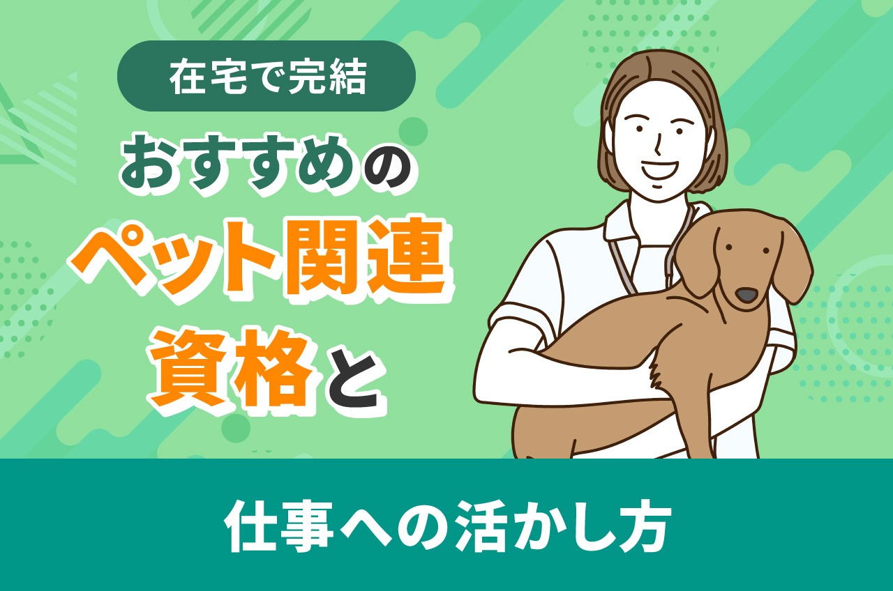 在宅で完結】おすすめのペット関連資格と仕事への活かし方