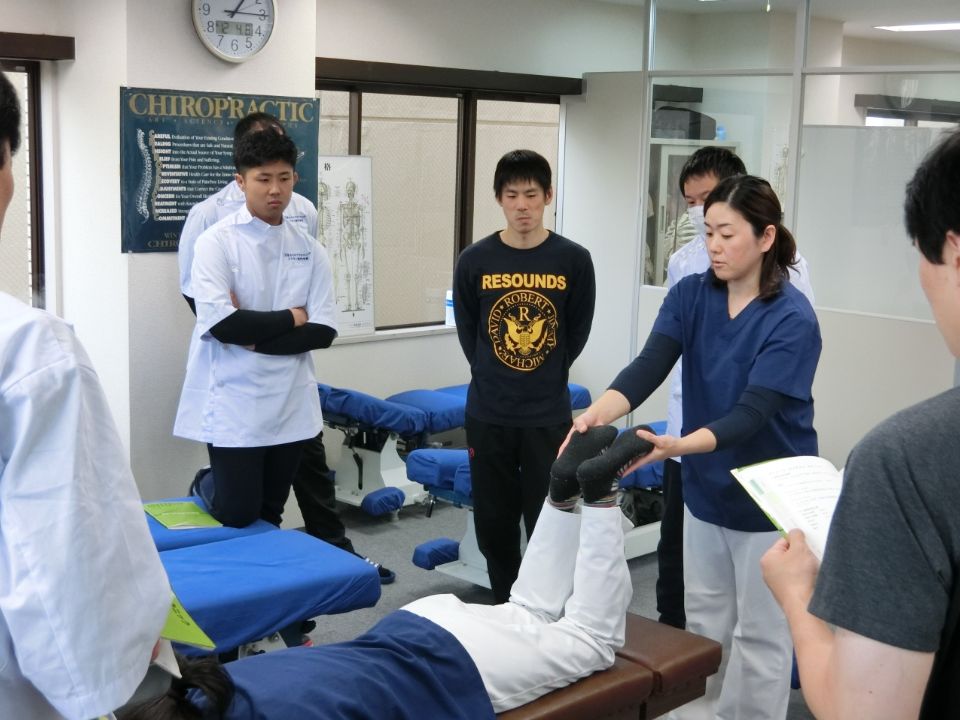 日本カイロプラクティックドクター専門学院 東京本校 講座一覧