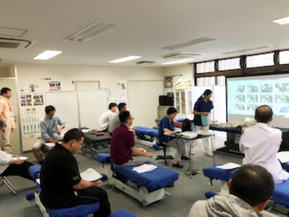 日本カイロプラクティックドクター専門学院 東京本校 講座一覧 | ベスト進学ネット
