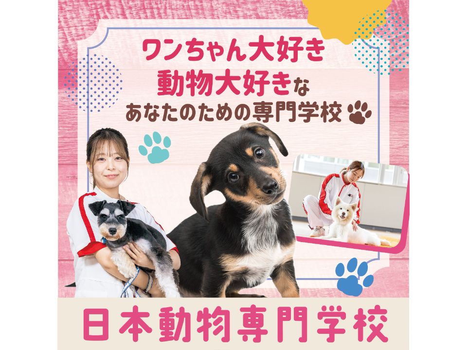 最新】動物看護師の専門学校 一覧
