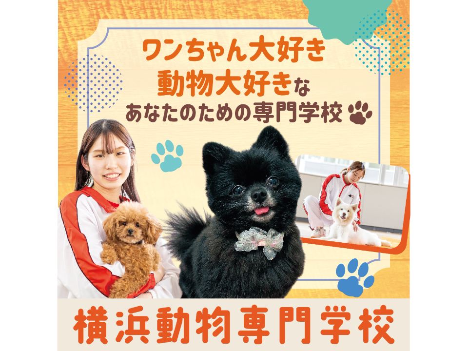 ペット栄養管理士になるには？仕事内容や向いてる人も解説！