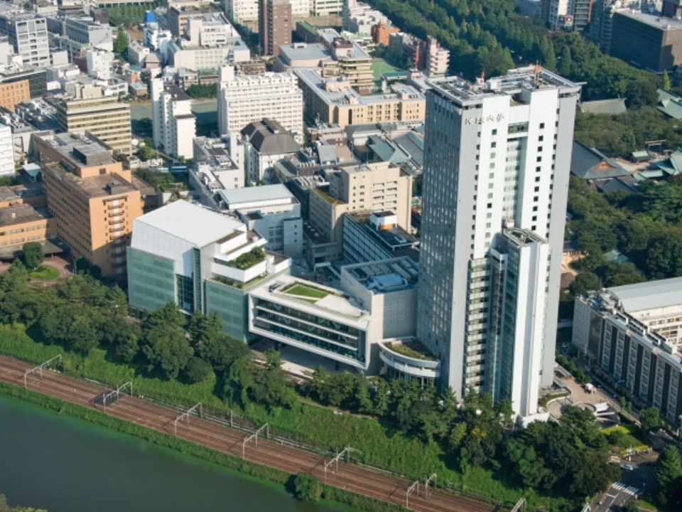 青山学院大学の法学部の併願・滑り止めの大学一覧2026 | ベスト進学ネット