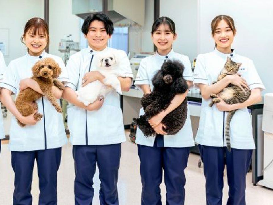 専門学校ルネサンス・ペット・アカデミー | 学校案内、資料請求は