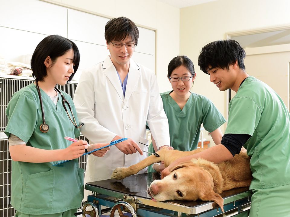 神奈川 臨床検査技師 学校 | 臨床検査技師を目指す学校の一覧はこちら