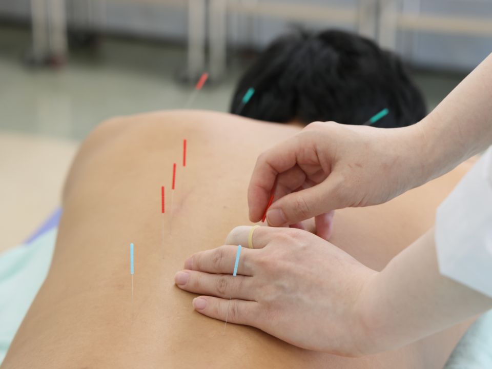 日本鍼灸理療専門学校 | 学校案内、資料請求はコチラ | ベスト進学ネット