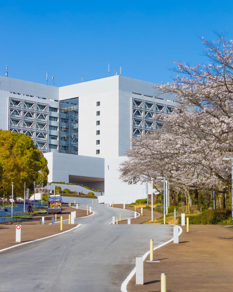 中央 大学 校